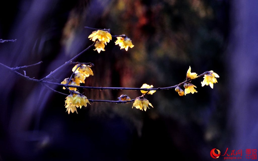 ?? ??? ?? ?? ??, ‘????’? ?? ??