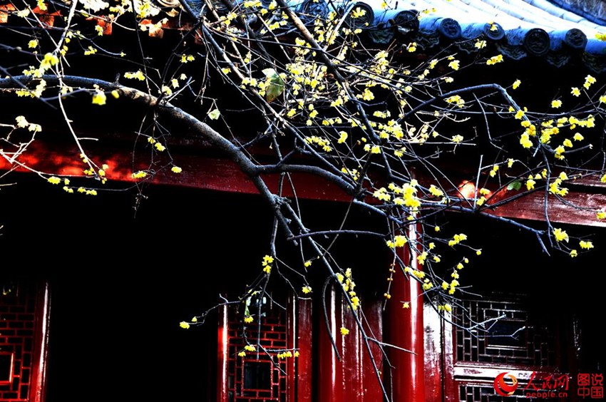 ?? ??? ?? ?? ??, ‘????’? ?? ??