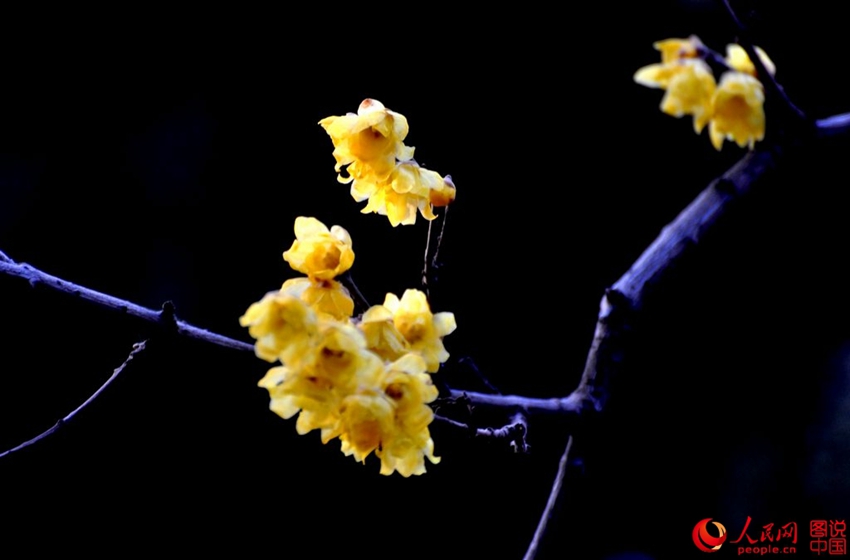 ?? ??? ?? ?? ??, ‘????’? ?? ??