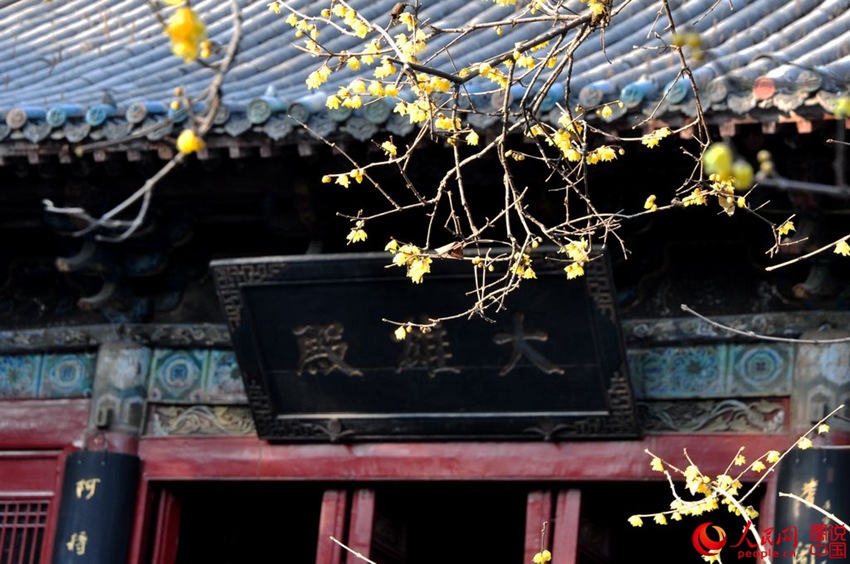 ?? ??? ?? ?? ??, ‘????’? ?? ??