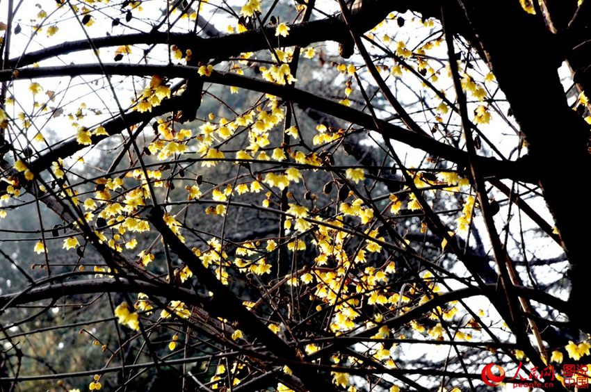 ?? ??? ?? ?? ??, ‘????’? ?? ??