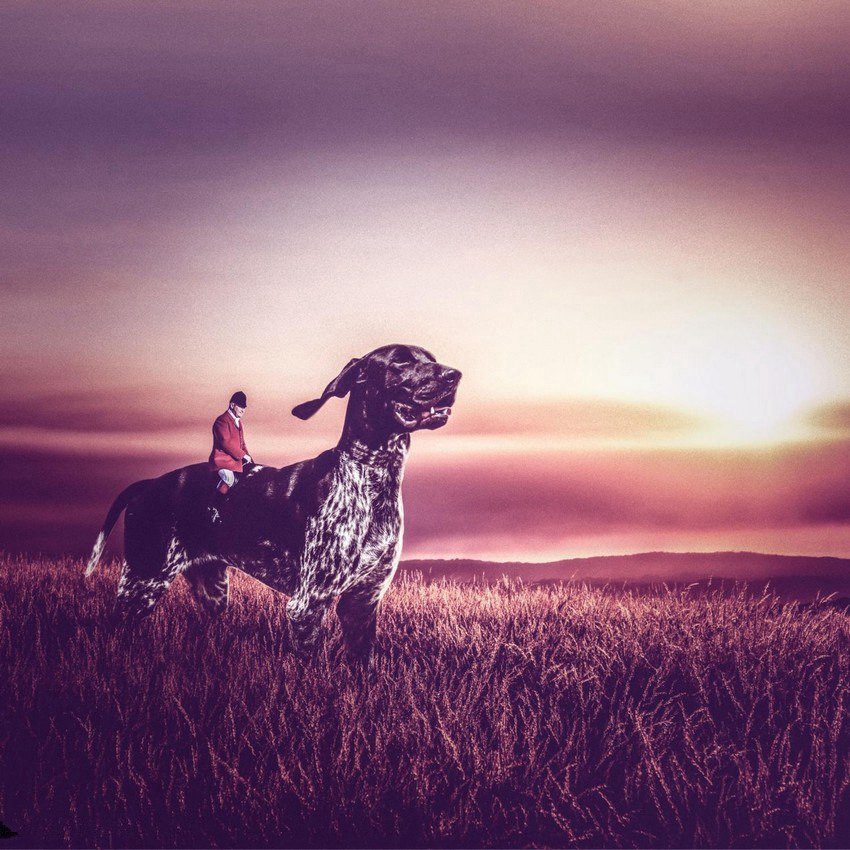 ???? ???? ?????, ????? ?? ??