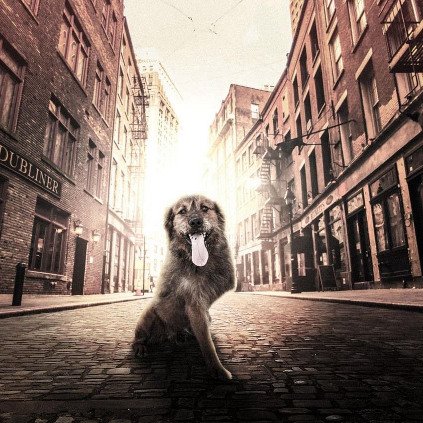 ???? ???? ?????, ????? ?? ??