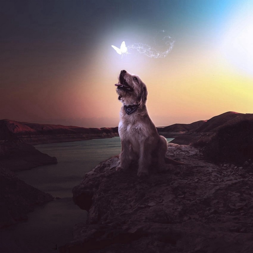 ???? ???? ?????, ????? ?? ??