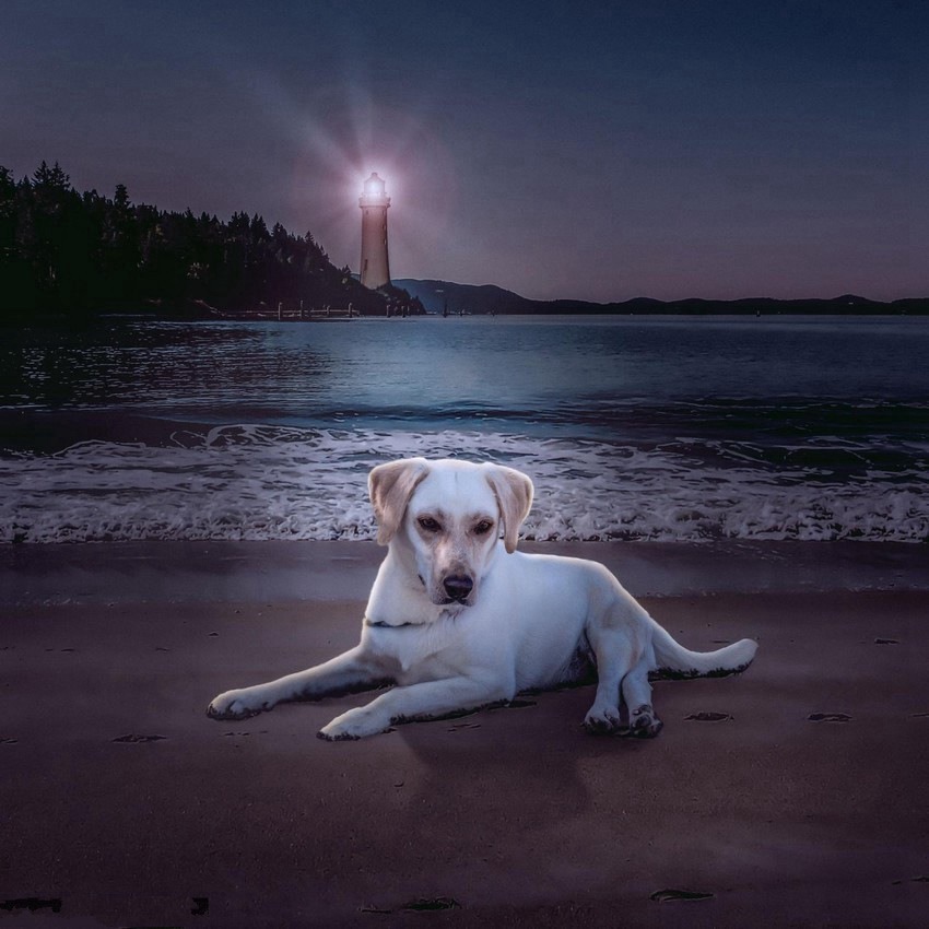 ???? ???? ?????, ????? ?? ??