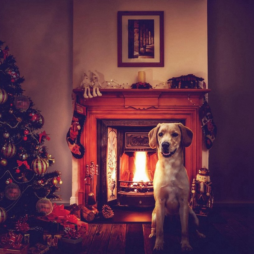 ???? ???? ?????, ????? ?? ??