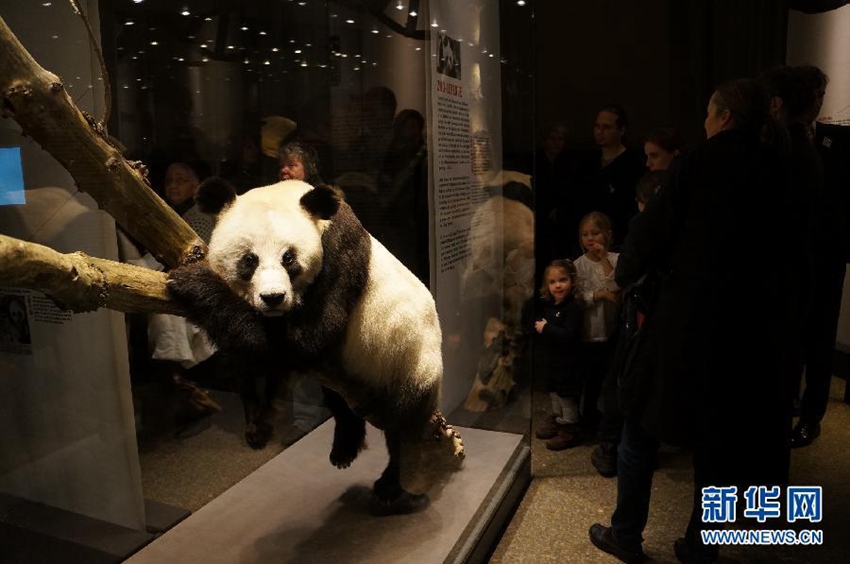 ?? ????, ?? ???????? ? ??