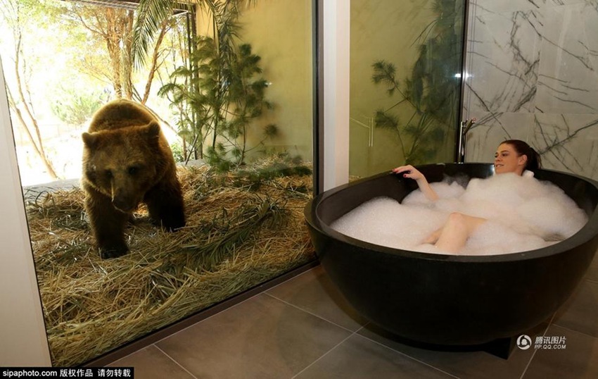 ??? ?? ??? ???? ??? ?? ?? ??