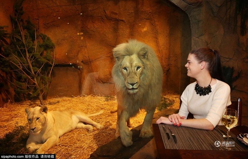 ??? ?? ??? ???? ??? ?? ?? ??