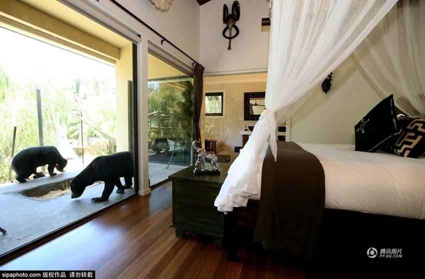 ??? ?? ??? ???? ??? ?? ?? ??