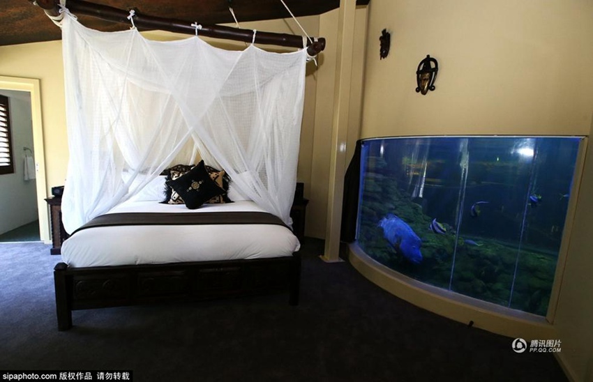 ??? ?? ??? ???? ??? ?? ?? ??