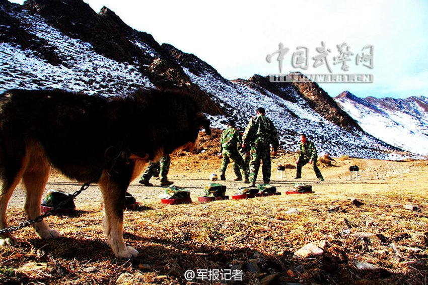 ?? ?? ?? 15?? ?? ?? ??