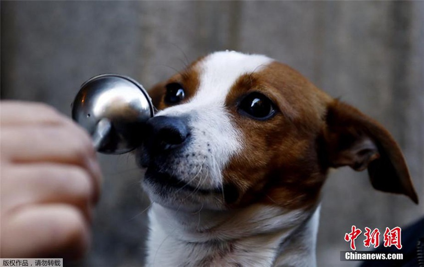 ???? ???? ?? ?? ?? ??