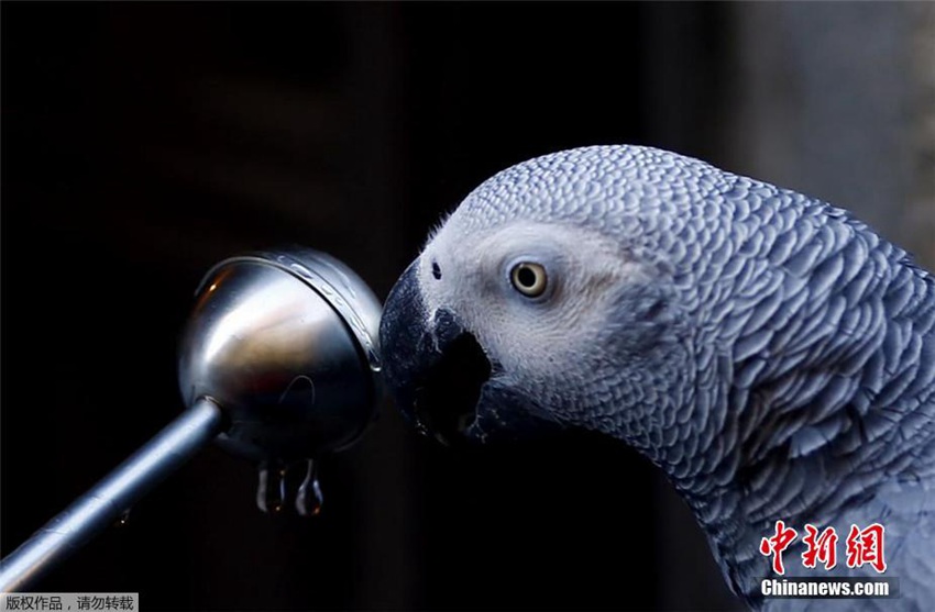 ???? ???? ?? ?? ?? ??