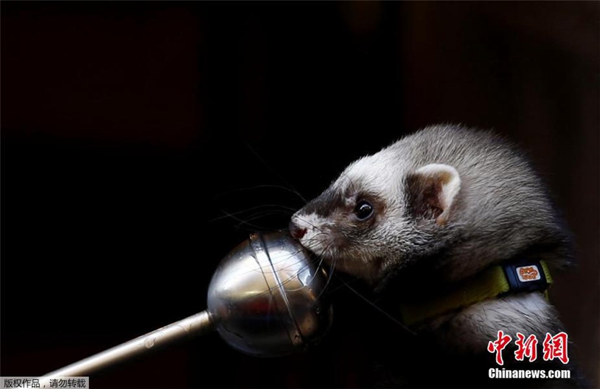 ???? ???? ?? ?? ?? ??