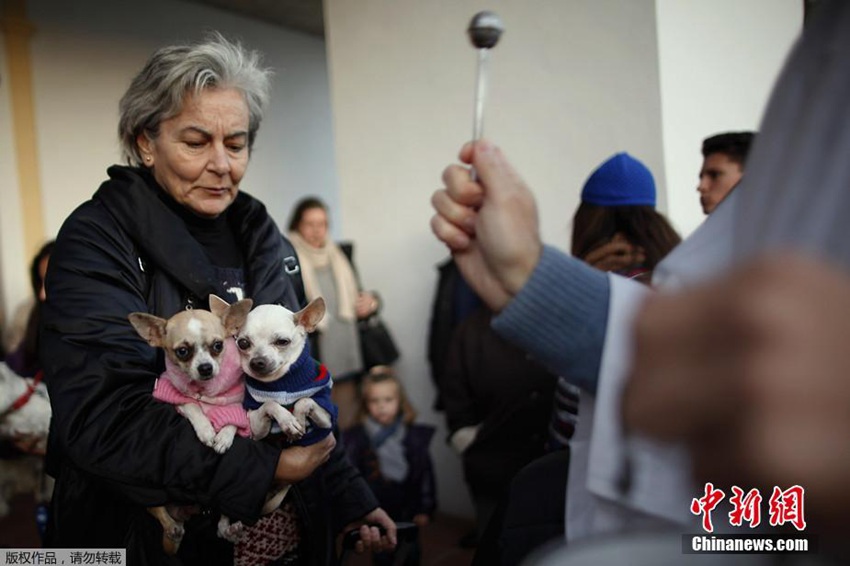 ???? ???? ?? ?? ?? ??