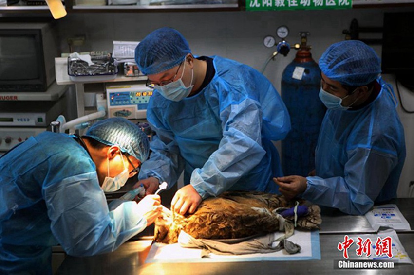 ??? ????, ??? ?? ?? ? ??