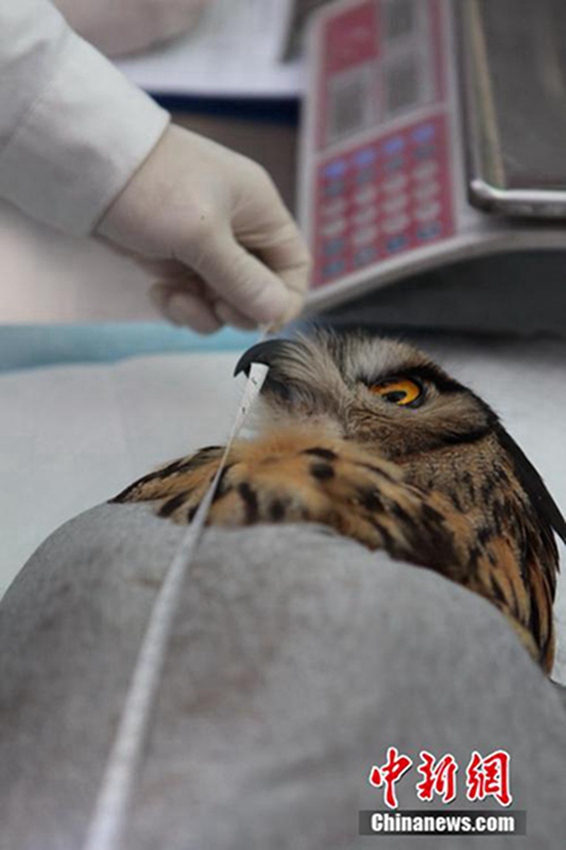 ??? ????, ??? ?? ?? ? ??