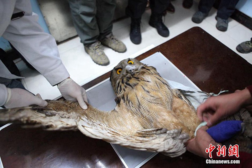 ??? ????, ??? ?? ?? ? ??