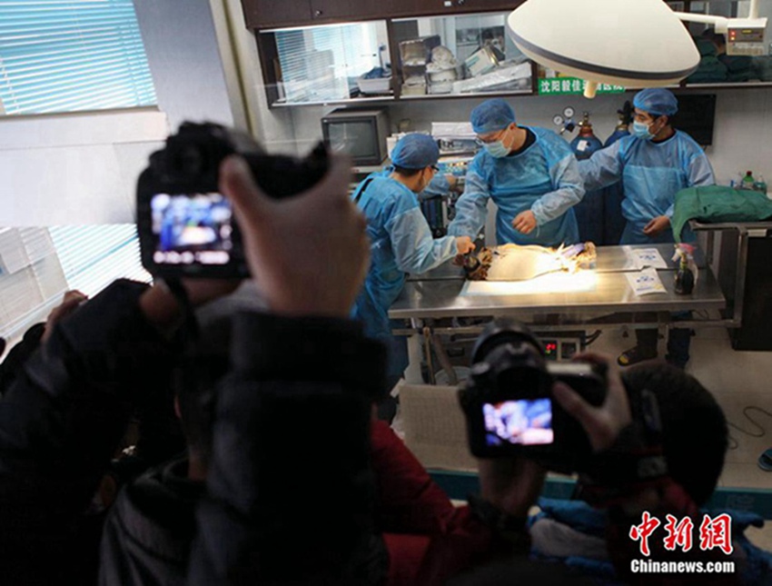 ??? ????, ??? ?? ?? ? ??