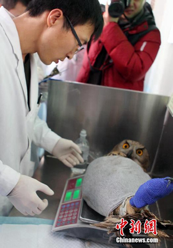 ??? ????, ??? ?? ?? ? ??