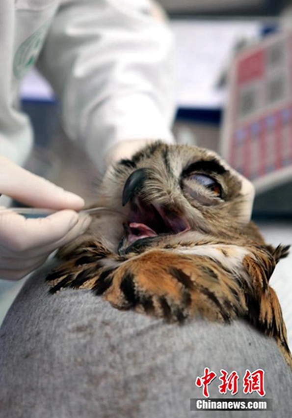 ??? ????, ??? ?? ?? ? ??