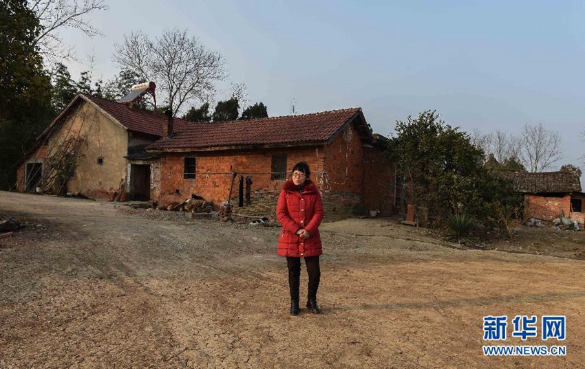 ???? ?? ???, ??? ??? ??