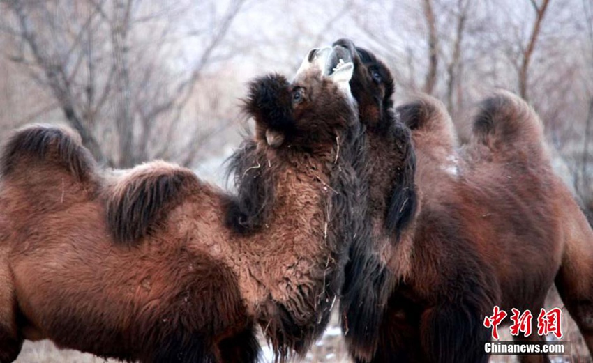 ???? ??? ??? ????? ?? ??