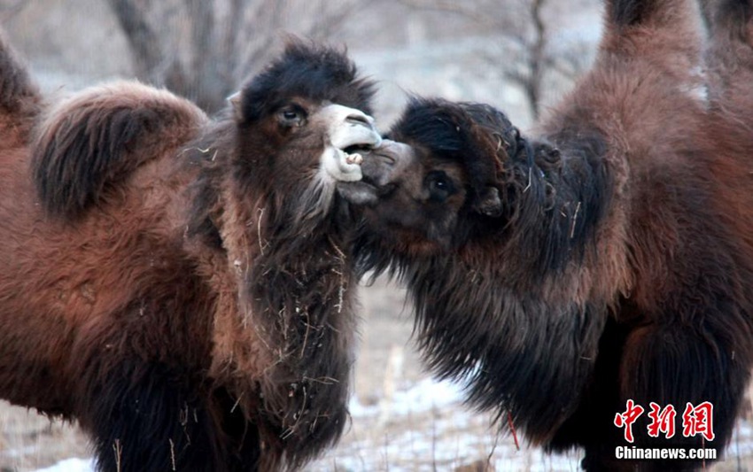 ???? ??? ??? ????? ?? ??