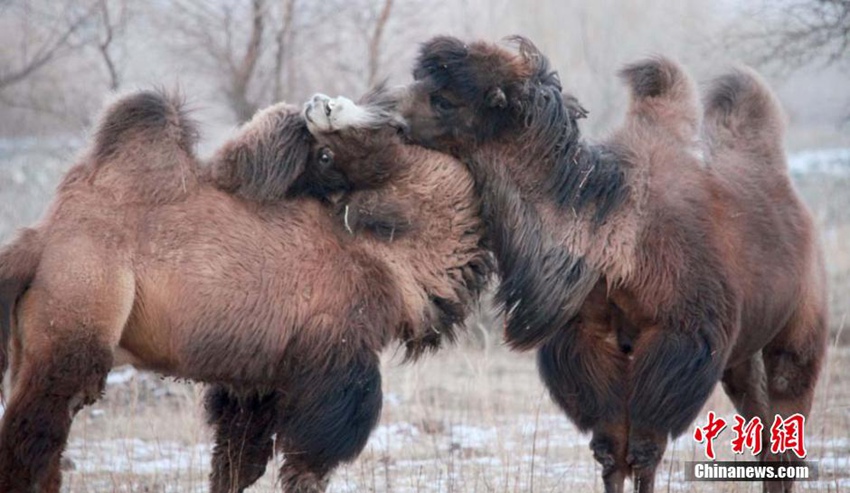 ???? ??? ??? ????? ?? ??