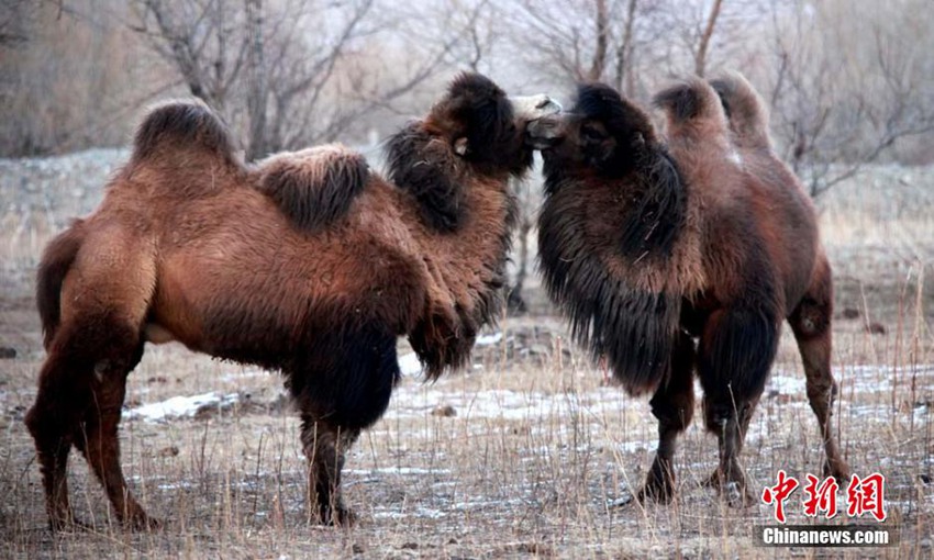 ???? ??? ??? ????? ?? ??