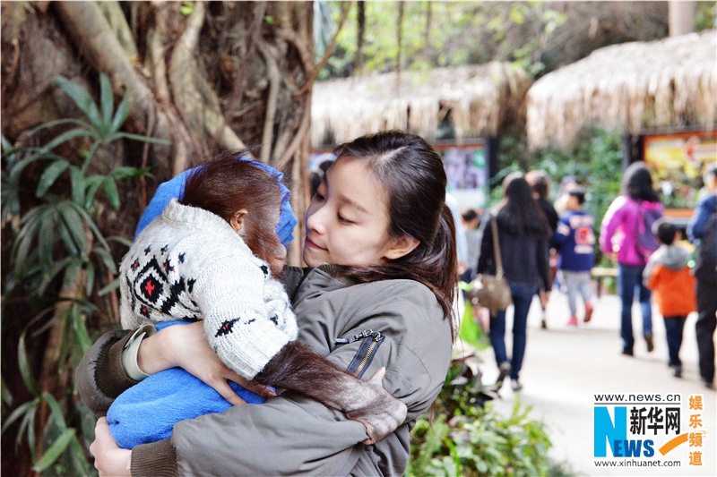 ???? ???? ?? ? ??, ??? ??