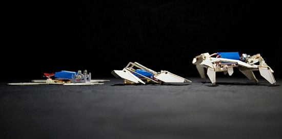 2014 ???? ?? ??, ???? ?? ?? ?