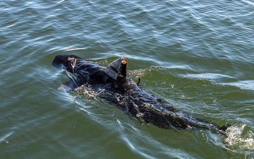 2014 ???? ?? ??, ???? ?? ?? ?