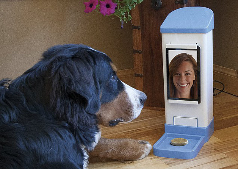 2014 ???? ?? ??, ???? ?? ?? ?