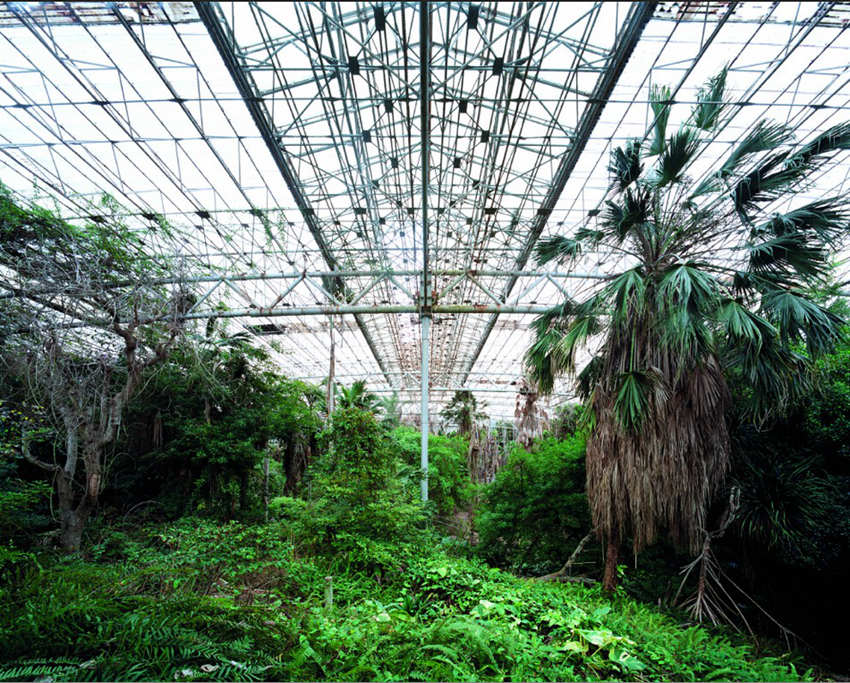 ??? ??, ??? ??? ???? ??