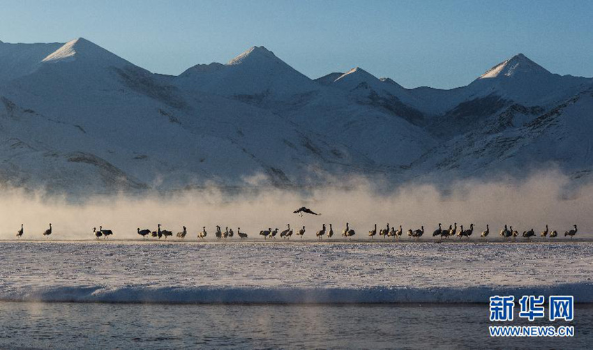 ?? ?? ???? ??? ??? ????? ??