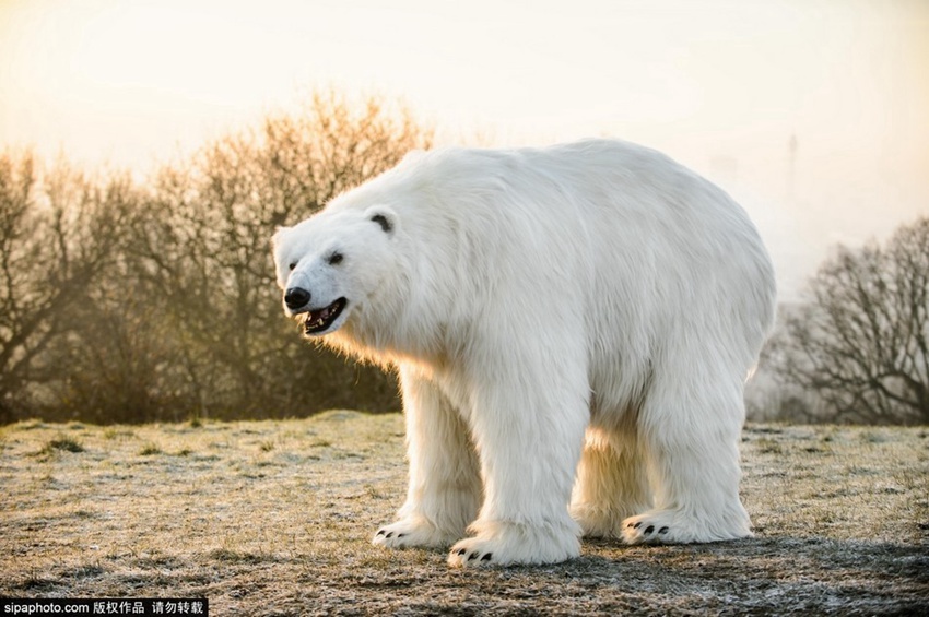 ??? ???? ??? ???, ??? ?? ???