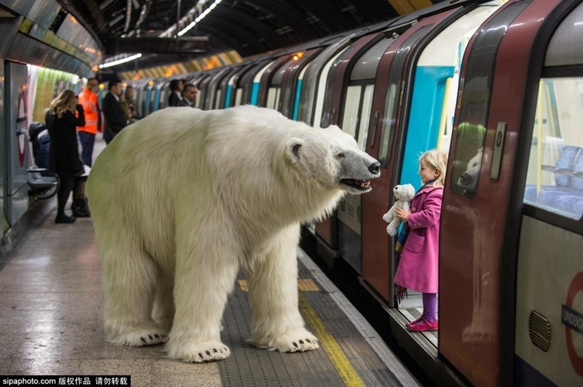 ??? ???? ??? ???, ??? ?? ???