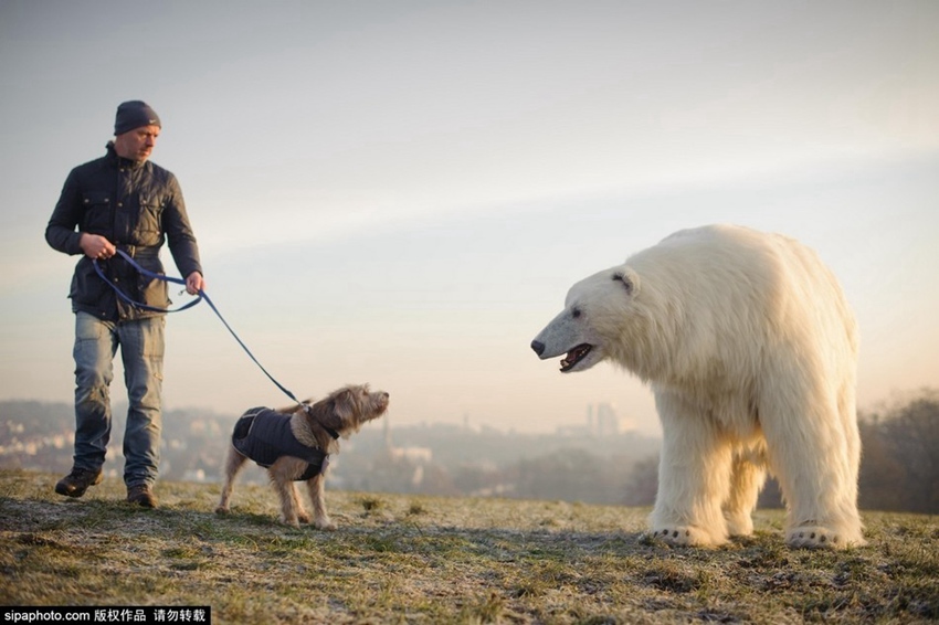 ??? ???? ??? ???, ??? ?? ???