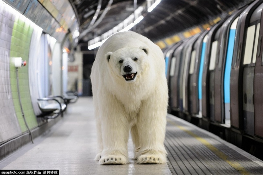 ??? ???? ??? ???, ??? ?? ???