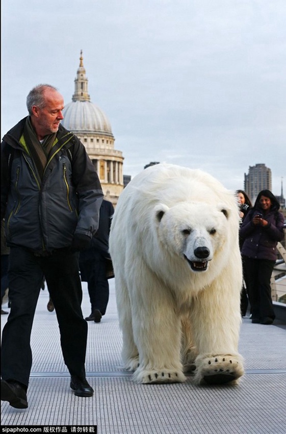 ??? ???? ??? ???, ??? ?? ???