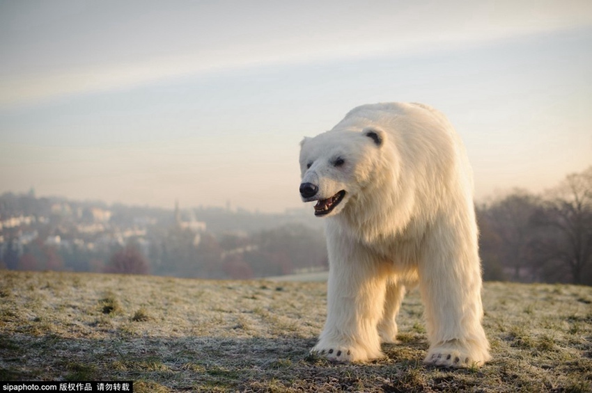 ??? ???? ??? ???, ??? ?? ???