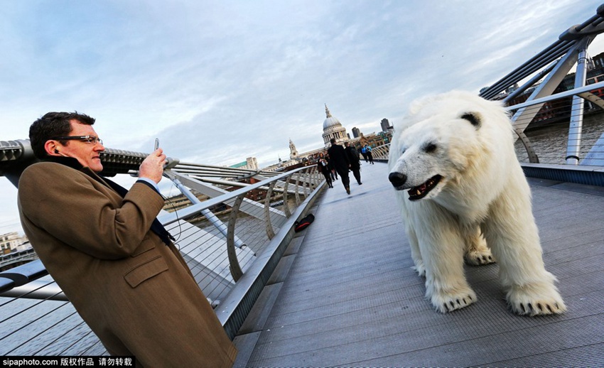 ??? ???? ??? ???, ??? ?? ???