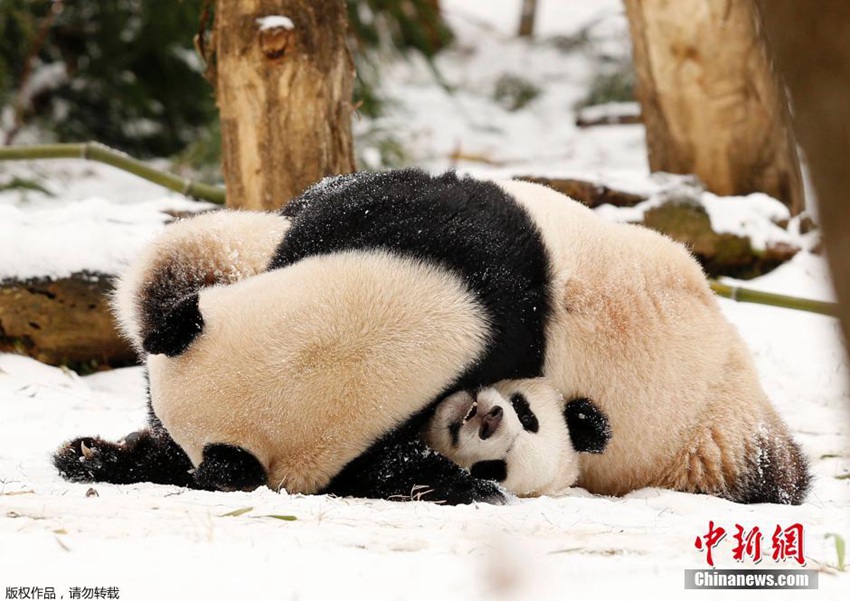 ?? ???? ??? ???? ‘??’…???