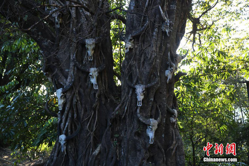 ?? ‘中 ??? ????’ ?????? ???