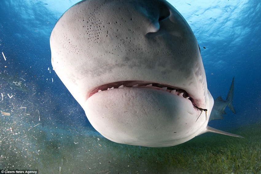 ?? ? ???? ??? ??? ????