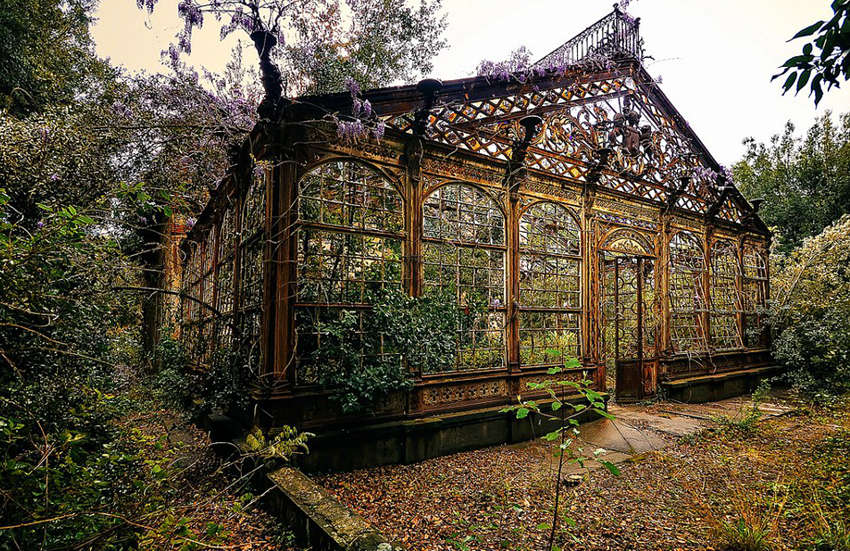 ??? ???? ??? ???? ???? ??