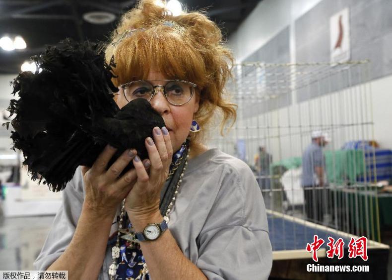 ??? ????, ?? ????? ??? ?(美)??