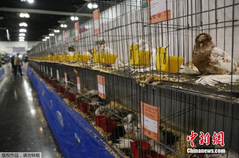 ??? ????, ?? ????? ??? ?(美)??